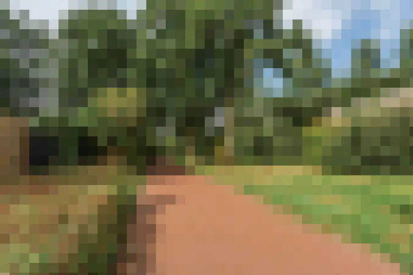 Van Goghlaan 62 Nijkerk thumbnail 36