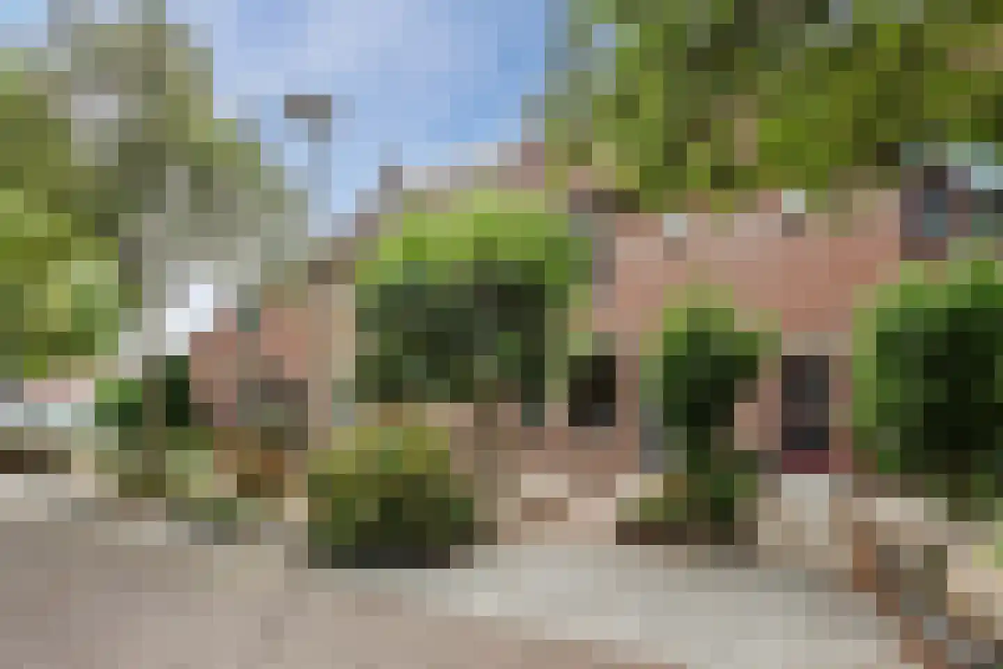 Van Goghlaan 62 Nijkerk thumbnail 7
