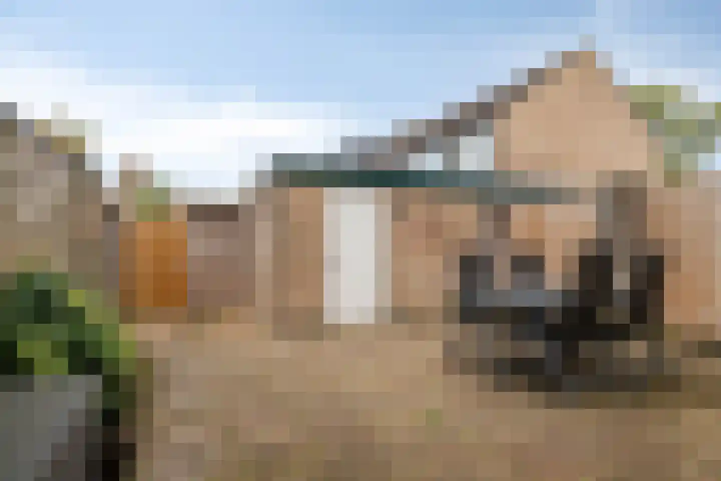 van Goghlaan 7 Scherpenzeel thumbnail 23