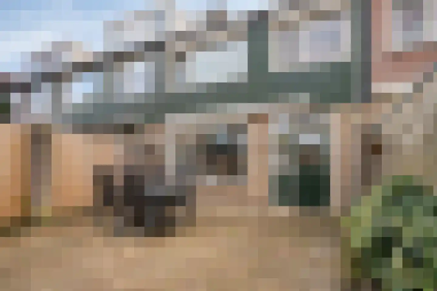 van Goghlaan 7 Scherpenzeel thumbnail 24