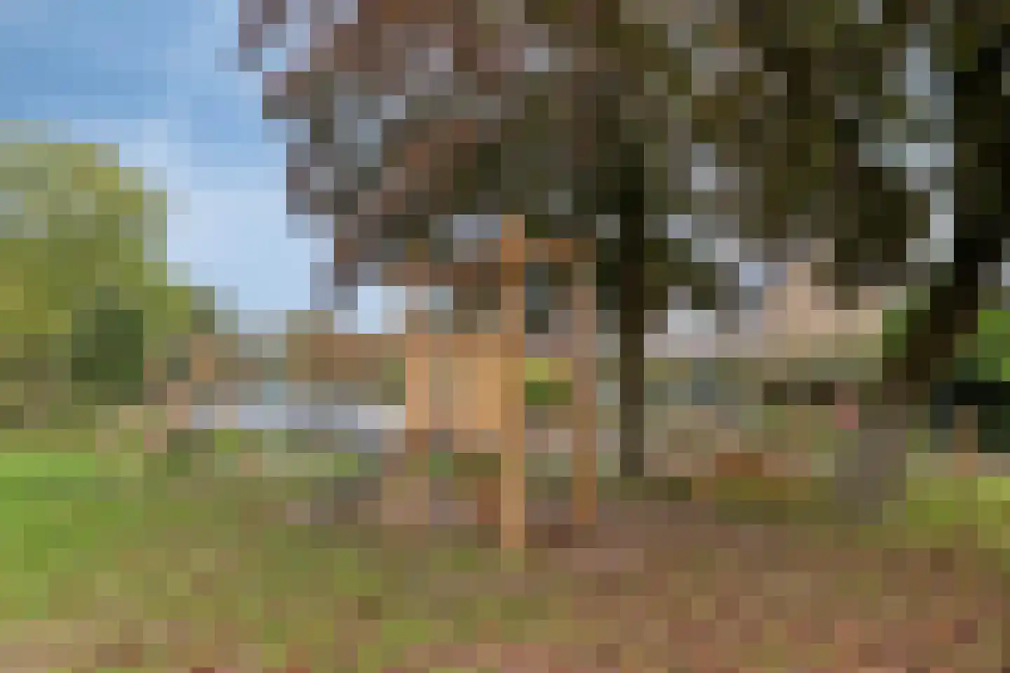 van Goghlaan 7 Scherpenzeel thumbnail 27