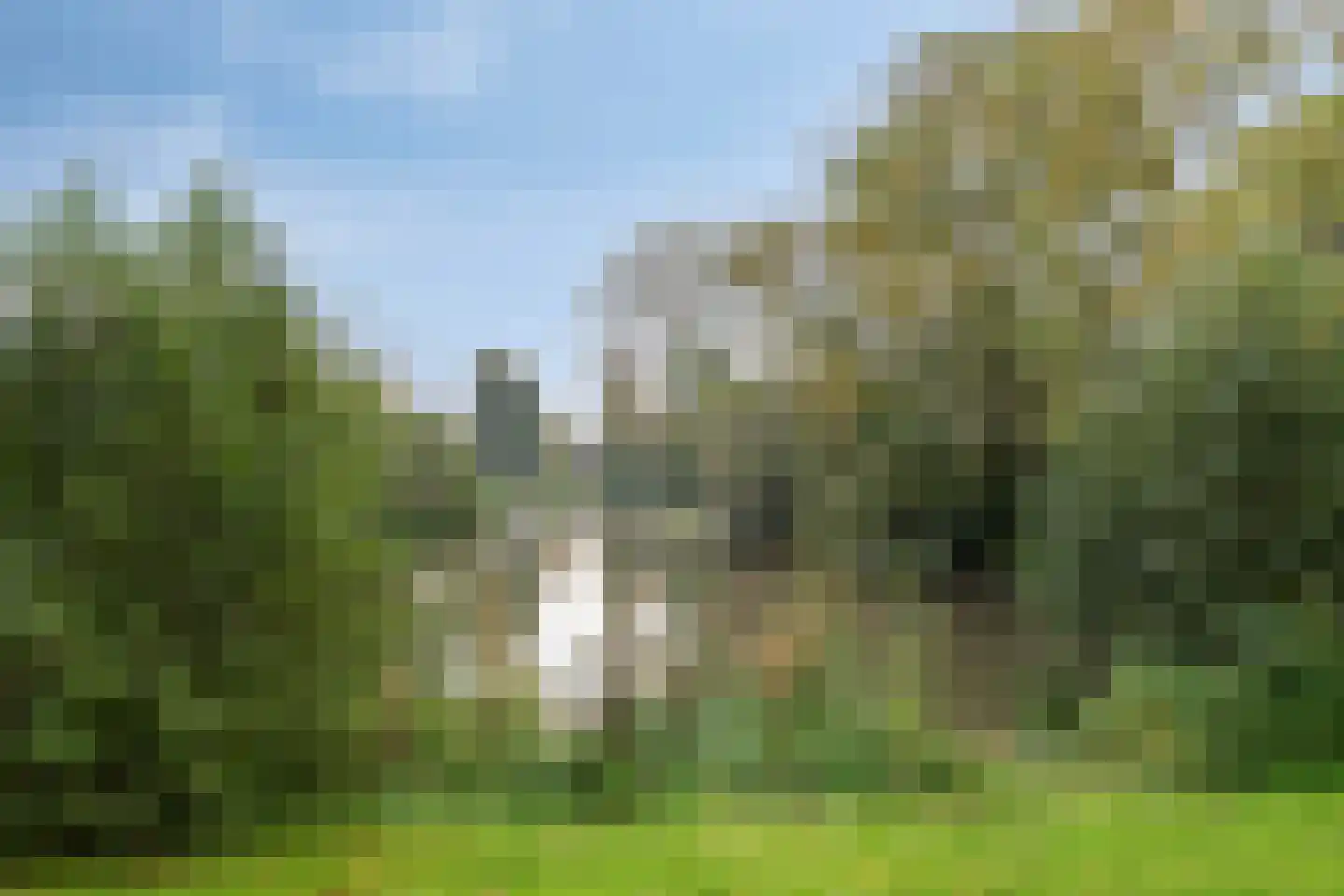 van Goghlaan 7 Scherpenzeel thumbnail 28
