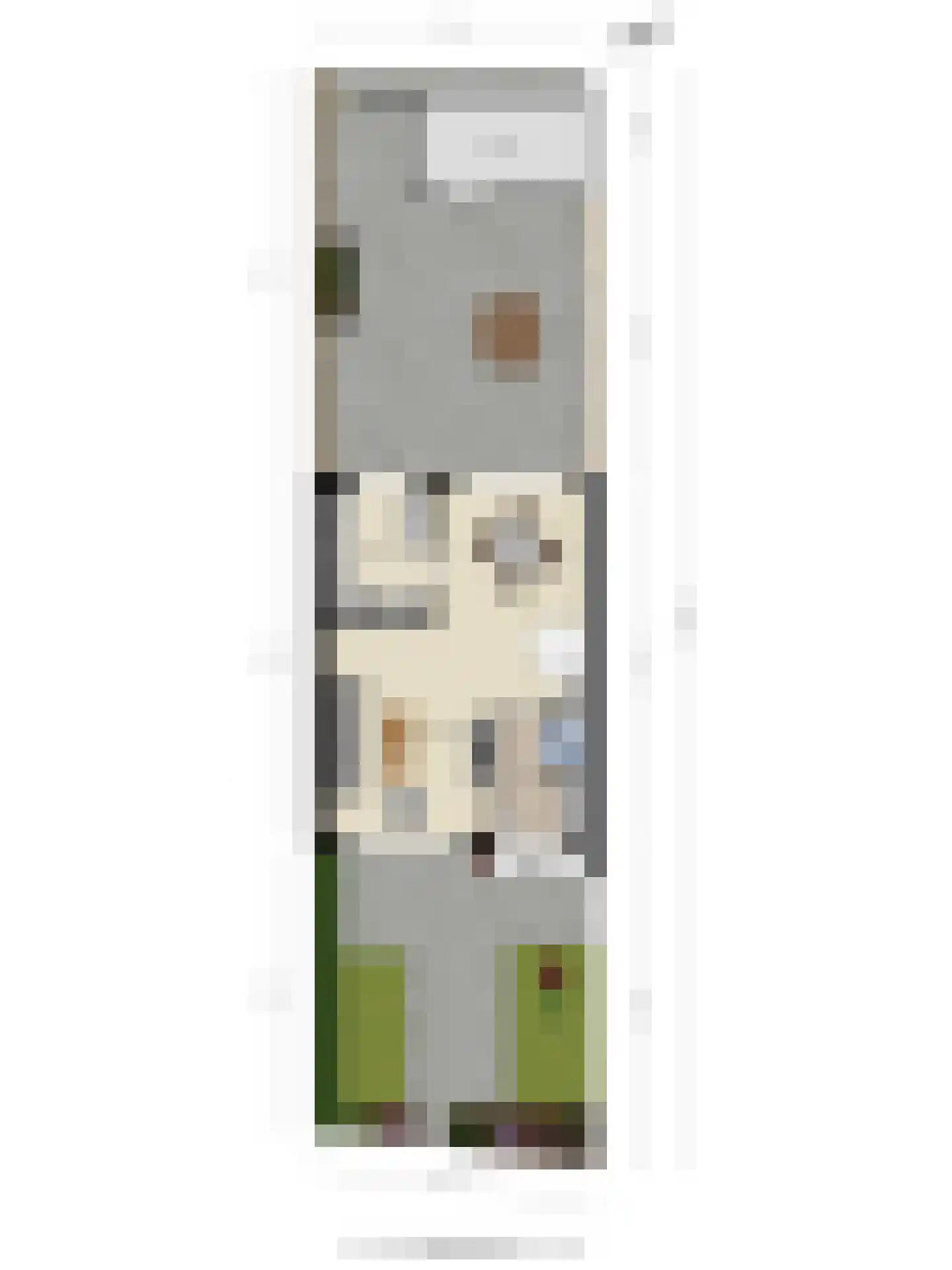 van Goghlaan 7 Scherpenzeel thumbnail 32