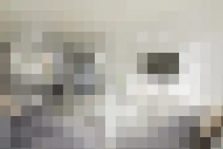 Van Goghlaan 72 Roosendaal thumbnail 10