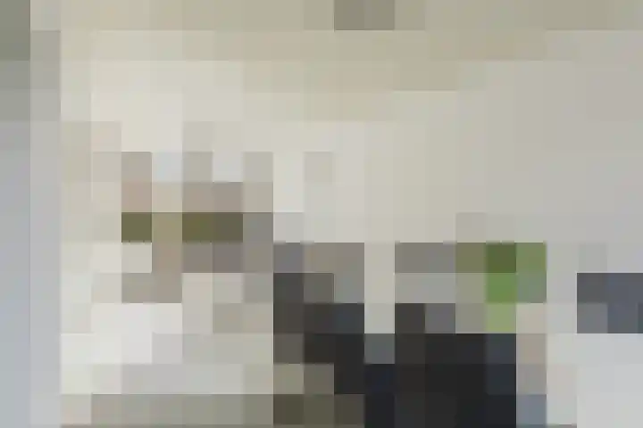 Van Goghlaan 72 Roosendaal thumbnail 13