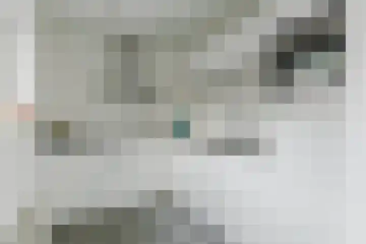 Van Goghlaan 72 Roosendaal thumbnail 14