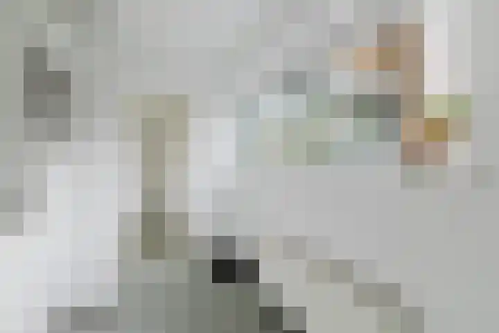 Van Goghlaan 72 Roosendaal thumbnail 16
