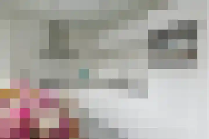 Van Goghlaan 72 Roosendaal thumbnail 17