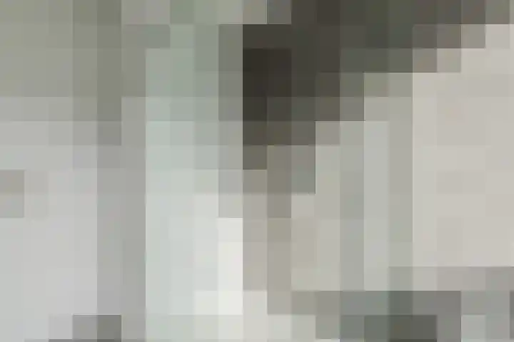 Van Goghlaan 72 Roosendaal thumbnail 21
