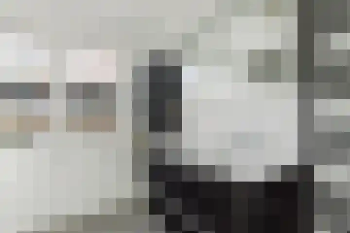 Van Goghlaan 72 Roosendaal thumbnail 22