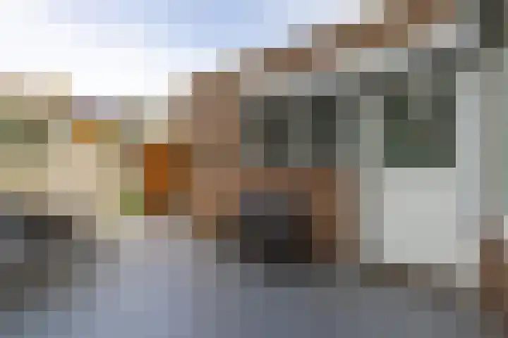 Van Goghlaan 72 Roosendaal thumbnail 32