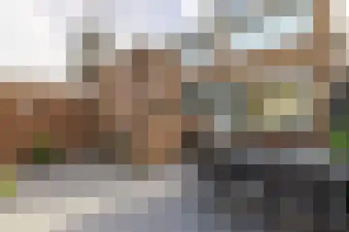 Van Goghlaan 72 Roosendaal thumbnail 34
