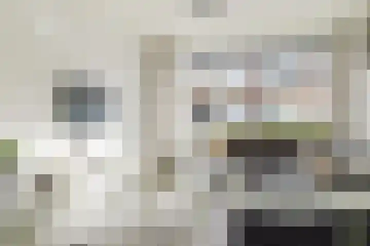 Van Goghlaan 72 Roosendaal thumbnail 9
