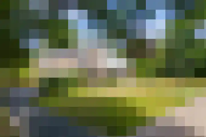 Van Goghlaan 8 in Weert