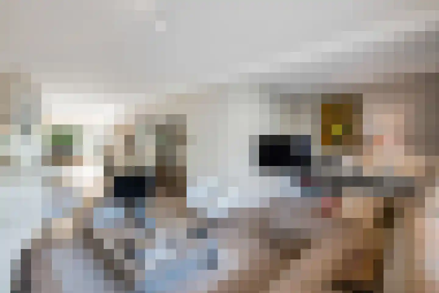 Van Goghlaan 8 Rotterdam thumbnail 26
