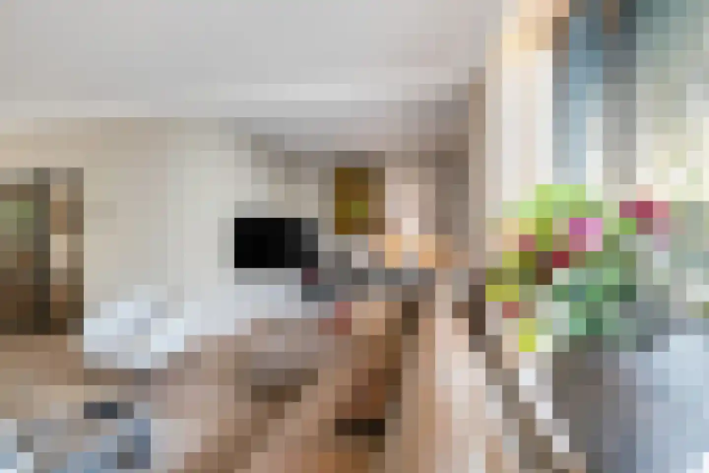 Van Goghlaan 8 Rotterdam thumbnail 27