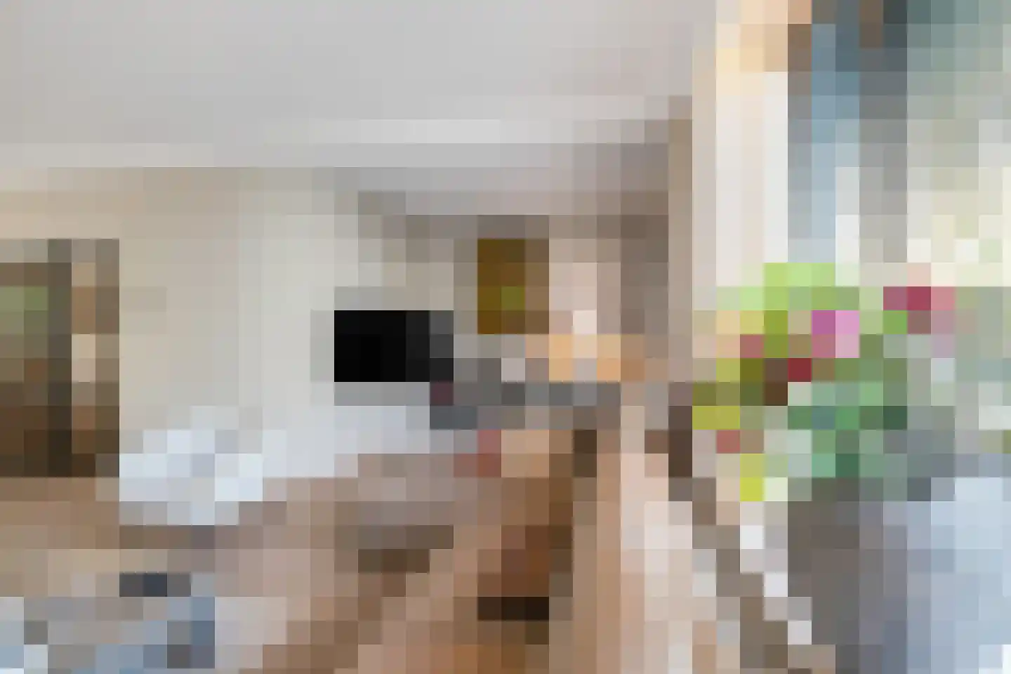 Van Goghlaan 8 Rotterdam thumbnail 27