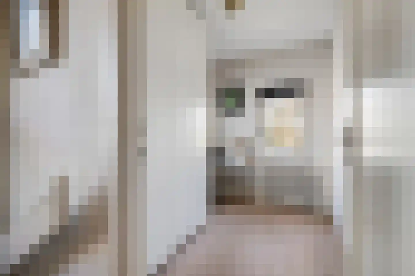 Van Goghlaan 8 Rotterdam thumbnail 40