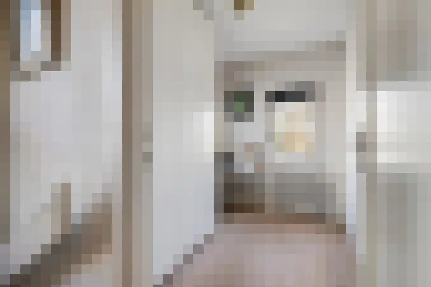 Van Goghlaan 8 Rotterdam thumbnail 40