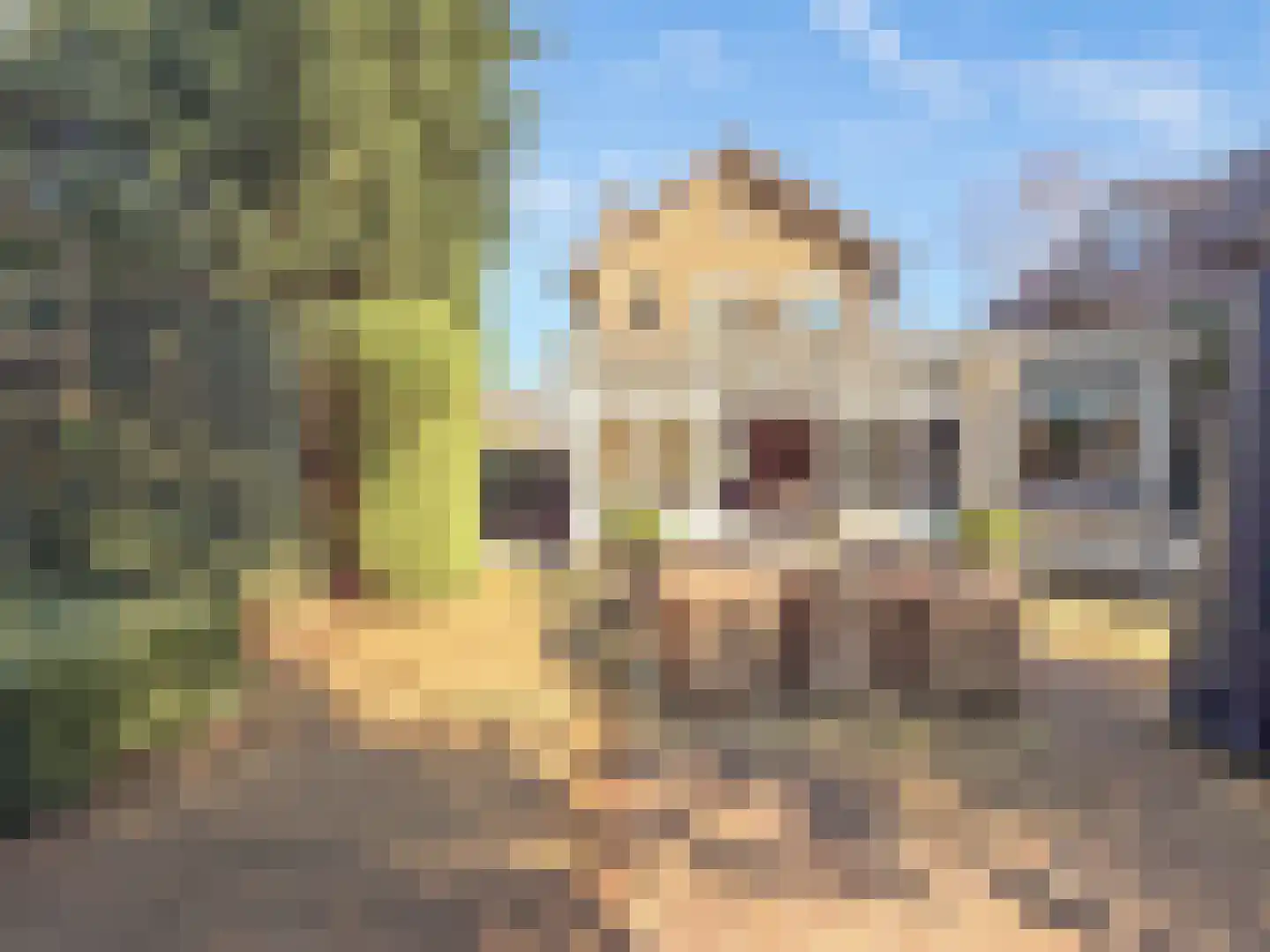 Van Goghlaan 8 Rotterdam thumbnail 54