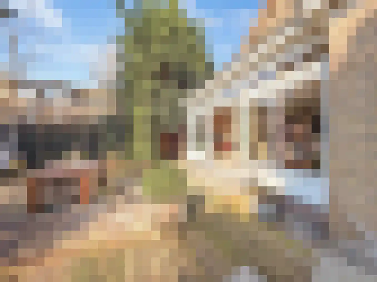 Van Goghlaan 8 Rotterdam thumbnail 56