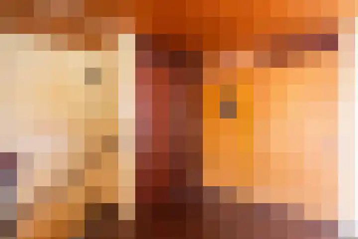 Van Goghlaan 8 Weert thumbnail 19