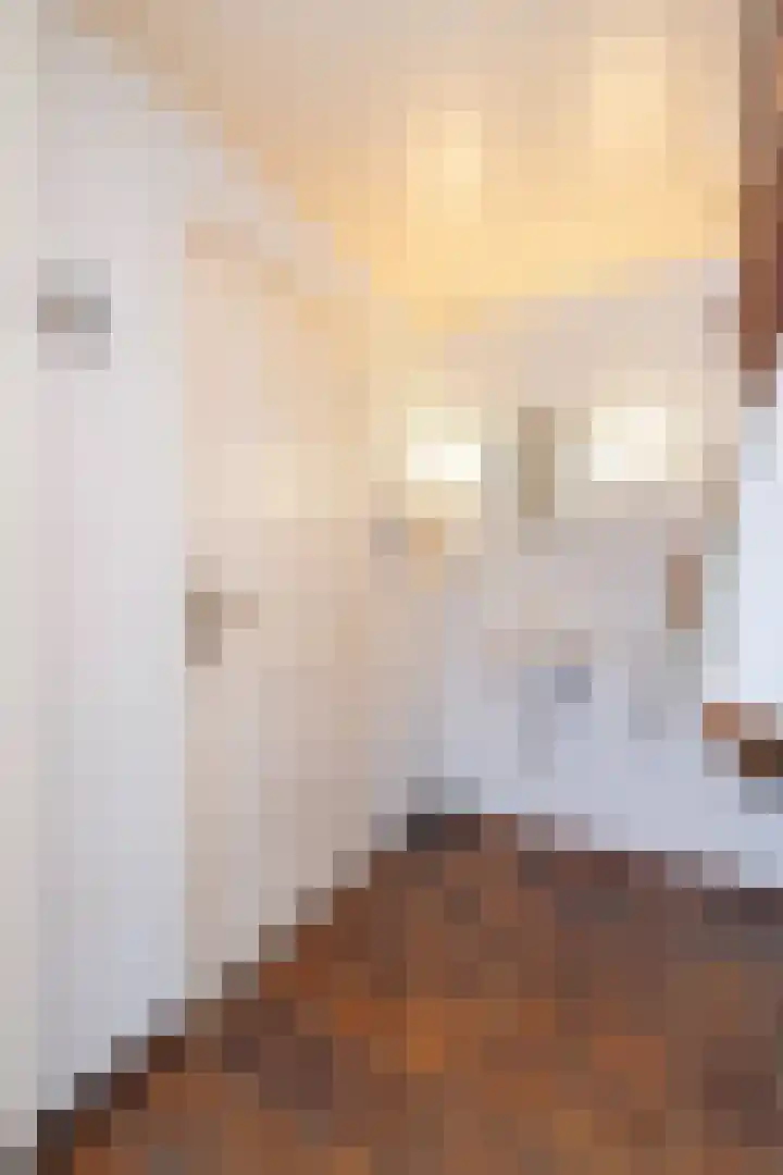 Van Goghlaan 8 Weert thumbnail 22