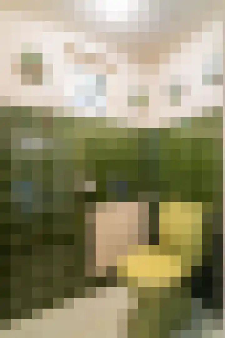 Van Goghlaan 8 Weert thumbnail 23