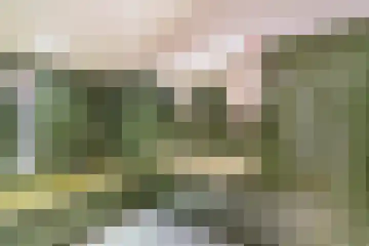 Van Goghlaan 8 Weert thumbnail 29