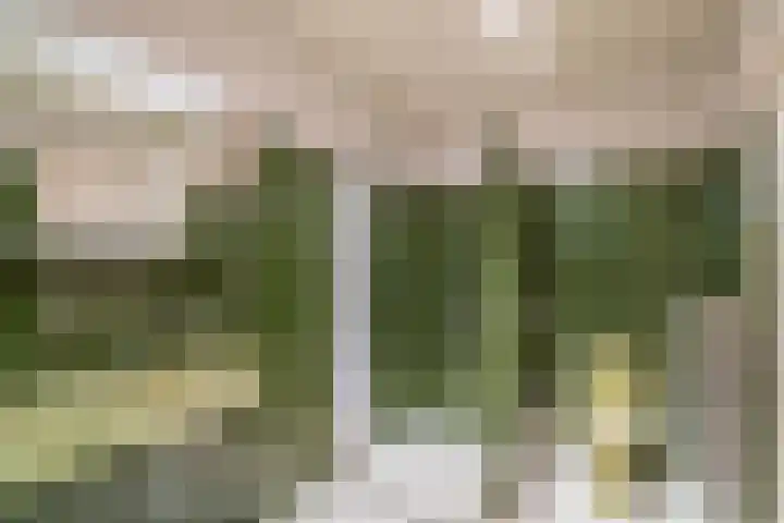 Van Goghlaan 8 Weert thumbnail 30