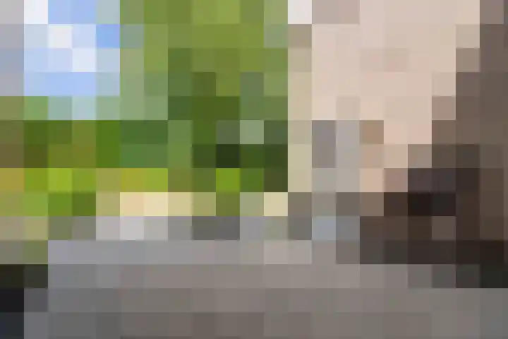 Van Goghlaan 8 Weert thumbnail 37