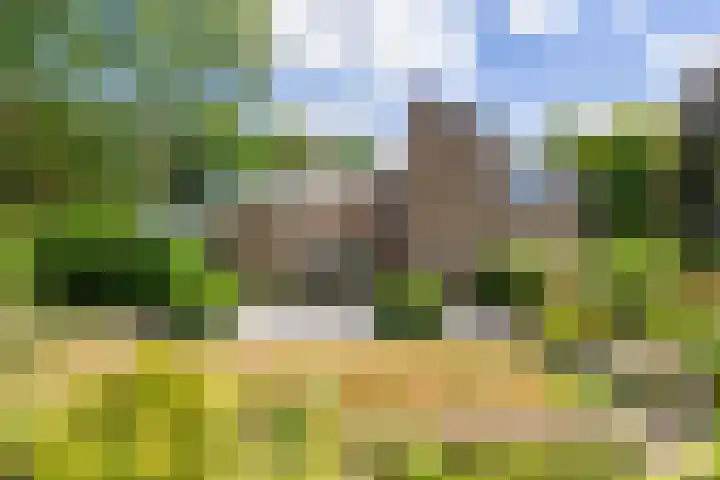 Van Goghlaan 8 Weert thumbnail 39