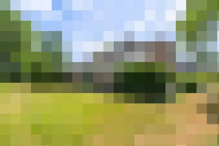 Van Goghlaan 8 Weert thumbnail 40