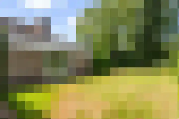 Van Goghlaan 8 Weert thumbnail 41