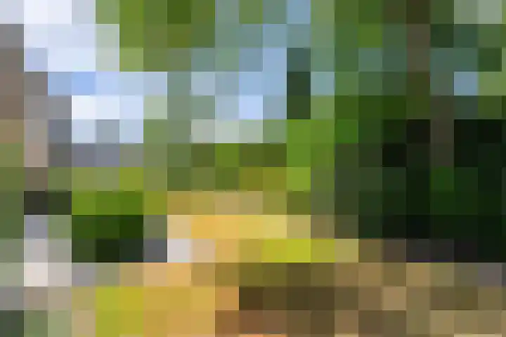 Van Goghlaan 8 Weert thumbnail 42