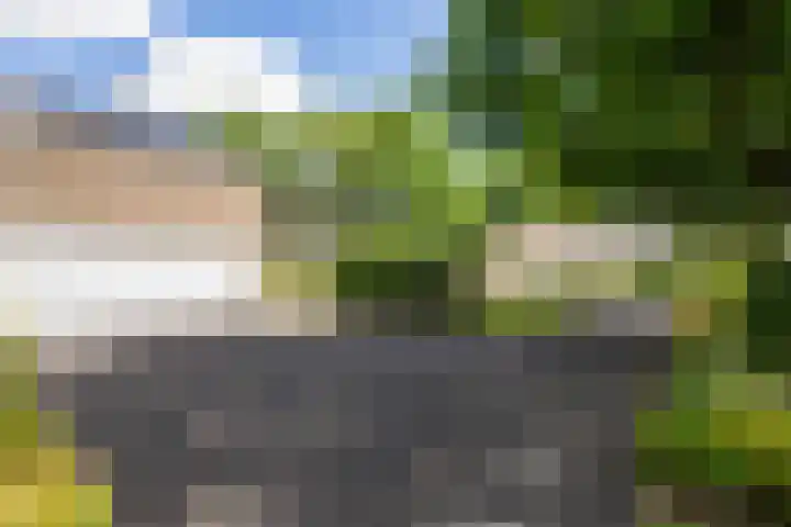 Van Goghlaan 8 Weert thumbnail 45