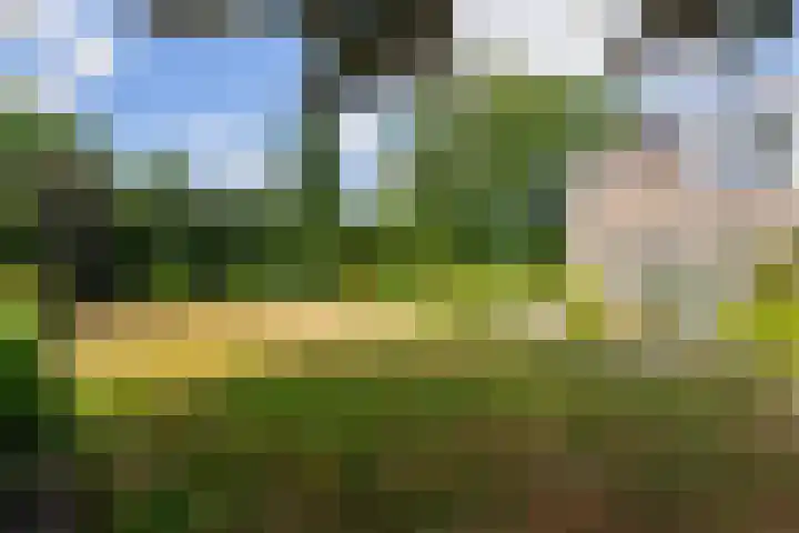 Van Goghlaan 8 Weert thumbnail 5