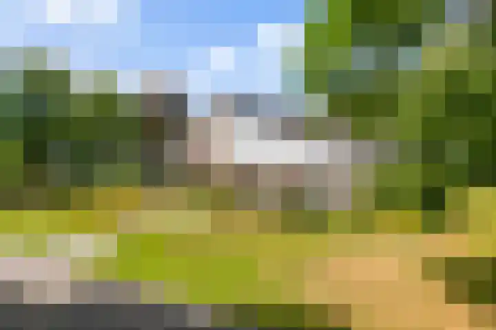 Van Goghlaan 8 Weert thumbnail 6