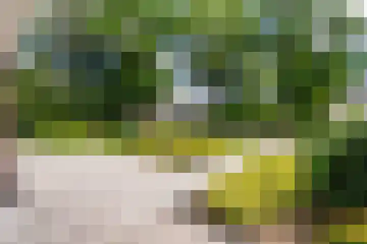 Van Goghlaan 8 Weert thumbnail 8