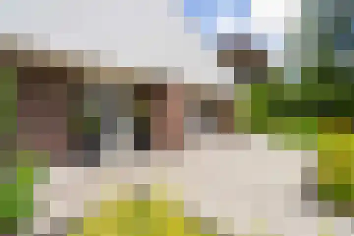Van Goghlaan 8 Weert thumbnail 9