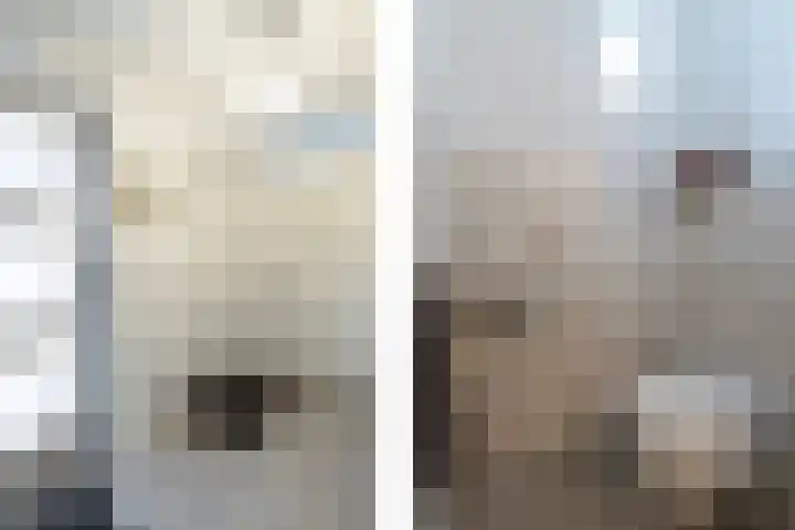 van Goghplantsoen 8 Alblasserdam thumbnail 15