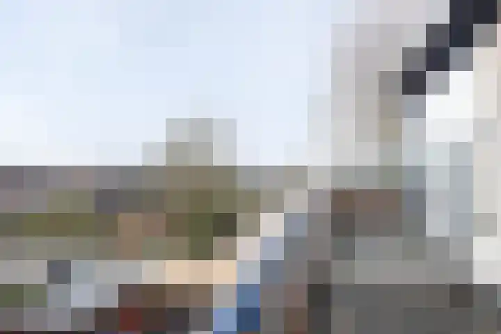 van Goghplantsoen 8 Alblasserdam thumbnail 27