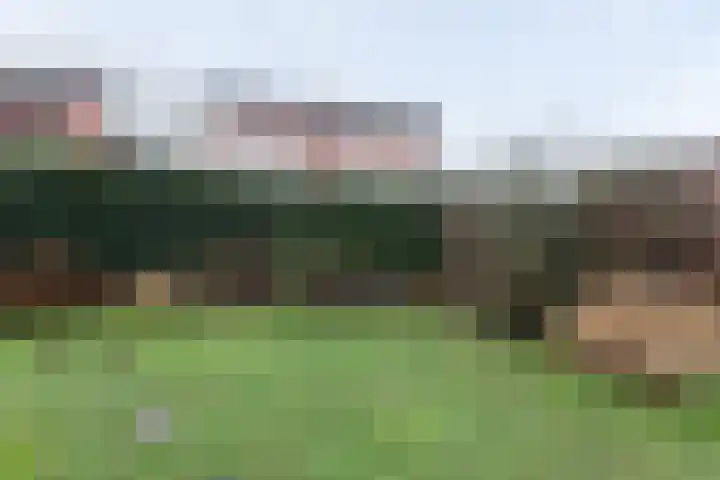 van Goghplantsoen 8 Alblasserdam thumbnail 32