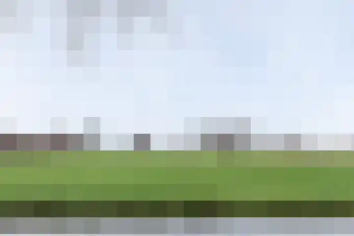 van Goghplantsoen 8 Alblasserdam thumbnail 37