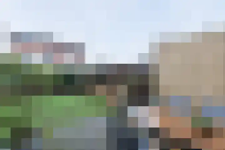 van Goghplantsoen 8 Alblasserdam thumbnail 4
