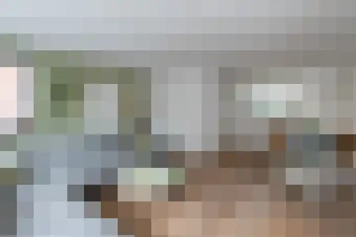 van Goghplantsoen 8 Alblasserdam thumbnail 9