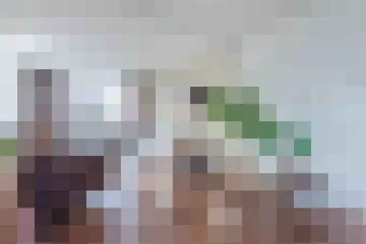 Van Goghstraat 1 Apeldoorn thumbnail 10