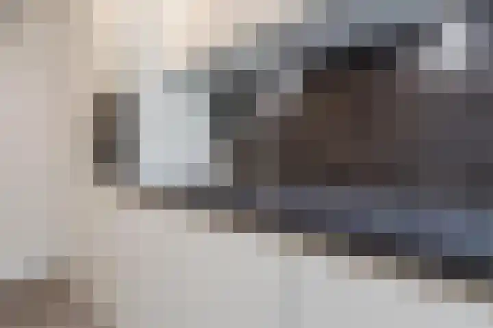 Van Goghstraat 1 Apeldoorn thumbnail 14