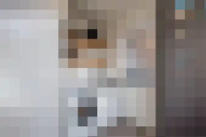 Van Goghstraat 1 Apeldoorn thumbnail 16