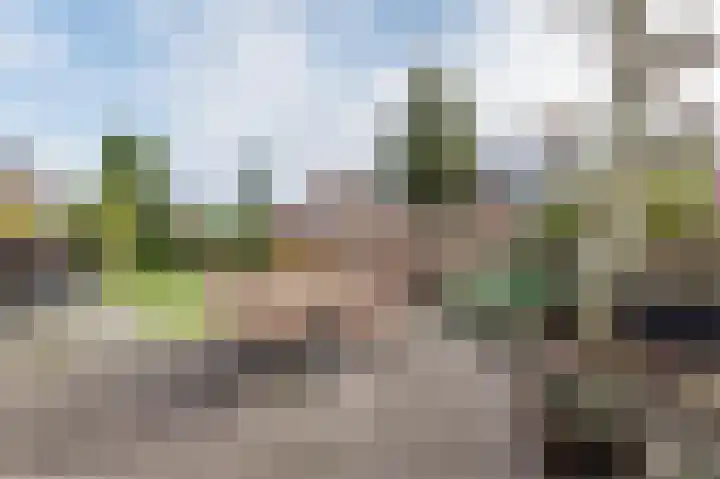 Van Goghstraat 1 Apeldoorn thumbnail 36